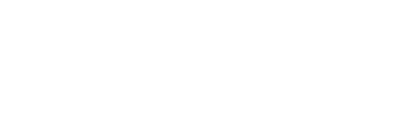 wienerberger bricks logo